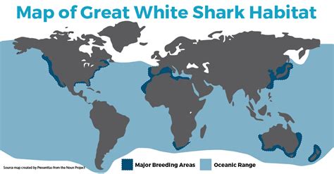 great white sharks population map.